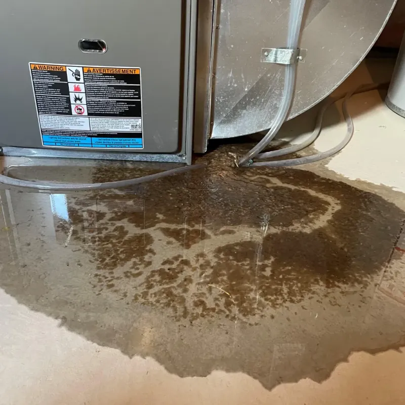 Appliance Leak Cleanup in Springfield, VT